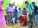  ചത്തിയറ വി.എച്ച്.എസ്.എസ്. സീഡ് ക്ലബ്ബിന് 